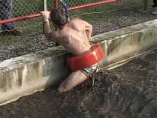 jackass