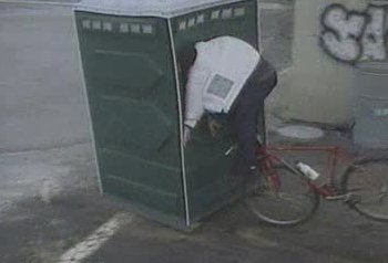 jackass