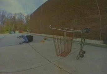 jackass