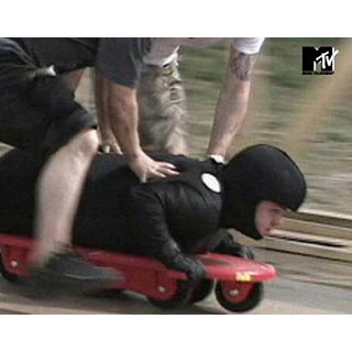 jackass